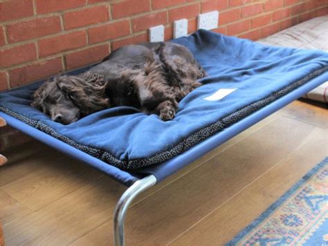 Large Raised Dog Beds Uk Best Quality Elevated Dog Beds