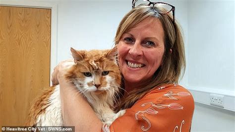 This is a list of the oldest cats in the world, listed by reported age, all of whom have attained the minimum age of 25 years. World's oldest cat dies AGED 31 as heartbroken owner, 52 ...