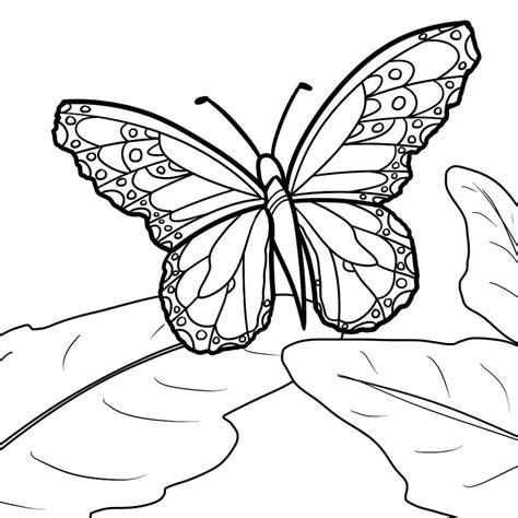 This coloring sheet features thick black coloring lines for an easy color. Monarch butterfly coloring pages download and print for free