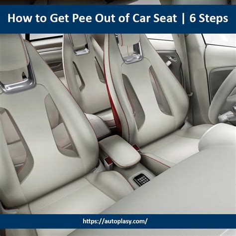 How To Get Pee Out Of Car Seat 6 Steps Autoplasy