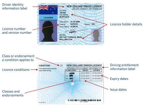 Your Driver Licence Explained Waka Kotahi Nz Transport Agency