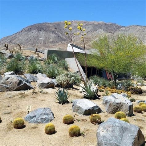 Top 70 Best Desert Landscaping Ideas Drought Tolerant Plants