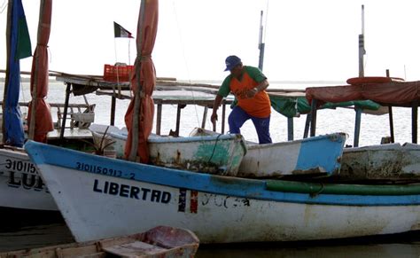 En El 2020 La Pesca Generó Una Derrama Económica De 462 Mdp En Yucatán