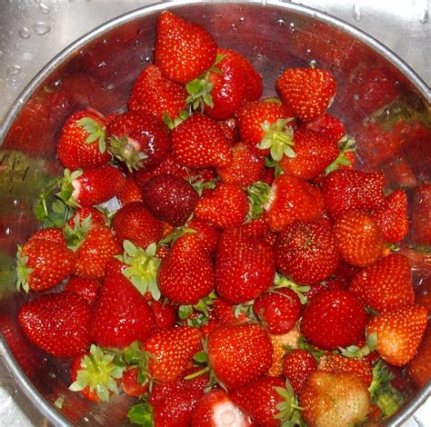 Strawberries need at least 8 hours of full sun each day, and they prefer slightly acidic soil with a ph between 5.5 and 6.8. How to grow strawberries and asparagus the permaculture way