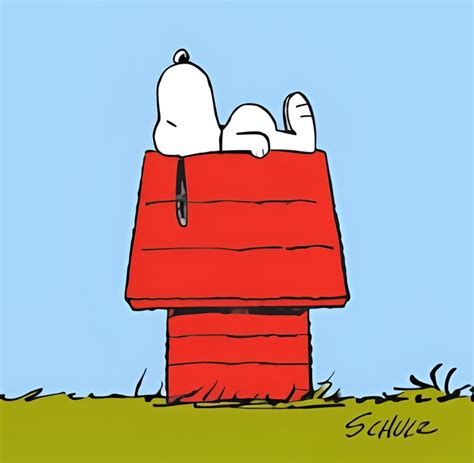 Snoopys Doghouse Peanuts Wiki Fandom