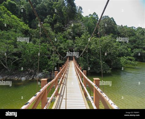 Penang National Park Malaysia Stock Photo Alamy