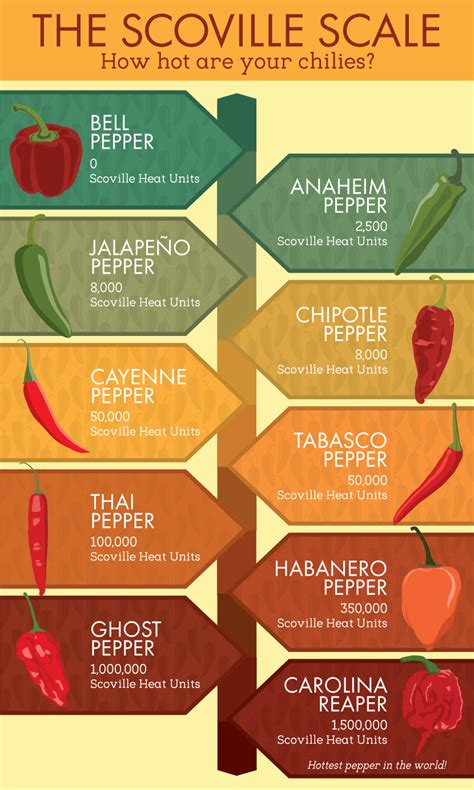 How Hot Can You Handle Get To Know The Hottest Peppers In The World