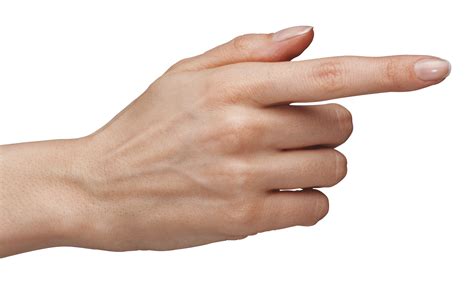 Finger clipart index finger, Finger index finger Transparent FREE for download on WebStockReview ...