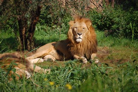 Hier Haben Alle Tiere Genug Platz Foto And Bild Tiere Zoo