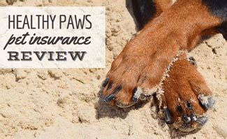 Healthy Paws Pet Insurance Reviews 2021: Unlimited Claims ...