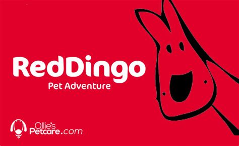 New Brand Red Dingo Joins Our Boutique Blog Ollies Petcare News