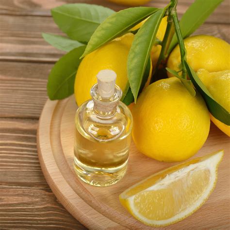 Lemon Oil At Rs 800kg Lemon Essential Oil नींबू का तेल Aroma