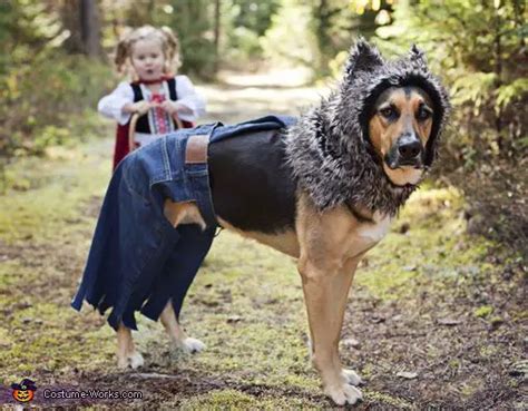40 Best German Shepherd Halloween Costume Ideas The Paws