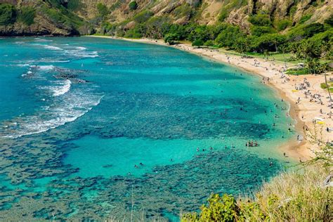 Hanauma Bay Nature Preserve Top Oahu Snorkel Spot Hanauma Bay