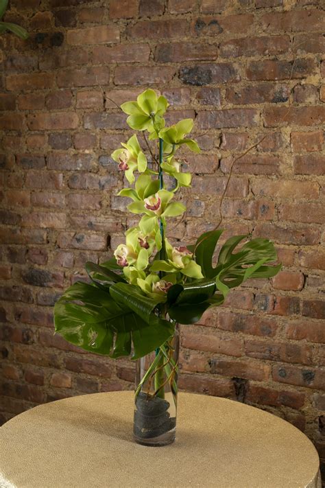 Green Cymbidium Orchid In Brooklyn Ny The Avenue J Florist