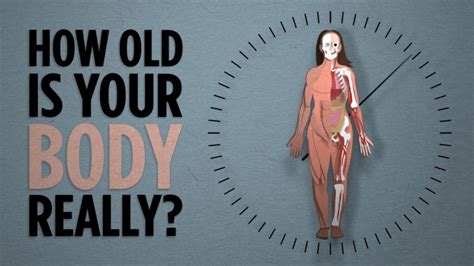 Video Does Your Body Really Refresh Itself Every 7 Years 893 Kpcc