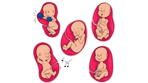 Jika dia lahir minggu ini, sistem kekebalannya akan berkembang yang membutuhkan perawatan medis ekstra dan lingkungan yang steril. Aktif Menendang Dalam Perut, Ini 9 Perkara Bayi Cuba ...