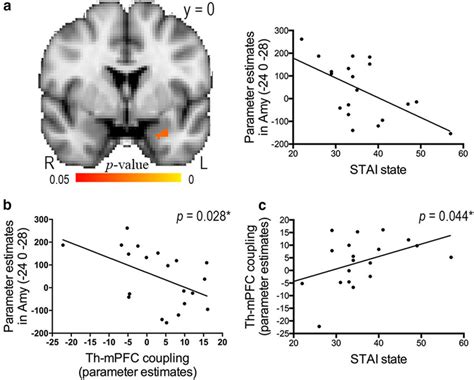 Correlations Among Individual State Anxiety Brain Activation And