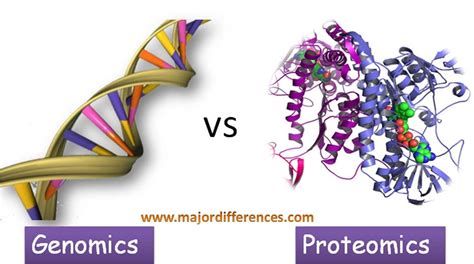 Difference Between Genomics And Proteomics Genome Teaching Biology