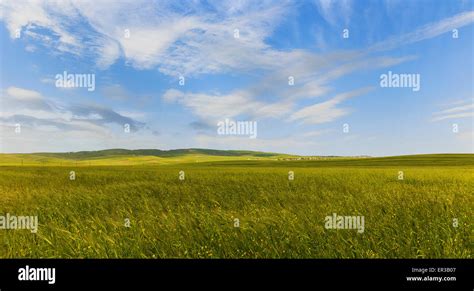 Cultivated Fields In The Mountains Of Gobustan Azerbaijan Stock Photo
