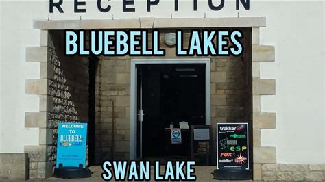 Bluebell Lakes Swan Lakethe Point Youtube