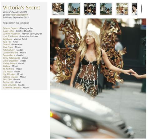 Victoria S Secret Advertising Campaign Italy And Usa Provini