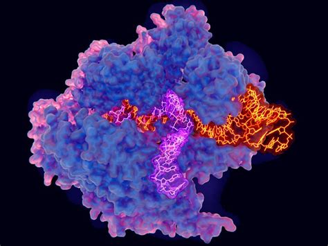 Super Precise New Crispr Tool Could Tackle A Plethora Of Genetic Diseases