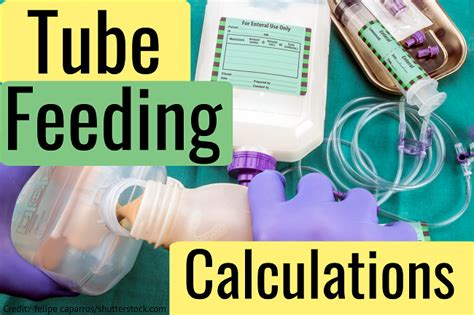 Sarah Bsn Rn — Tube Feeding Nursing Calculations Review Nursing