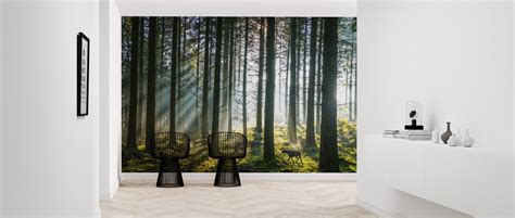 Misty Pine Forest Decorate With A Wall Mural Photowall