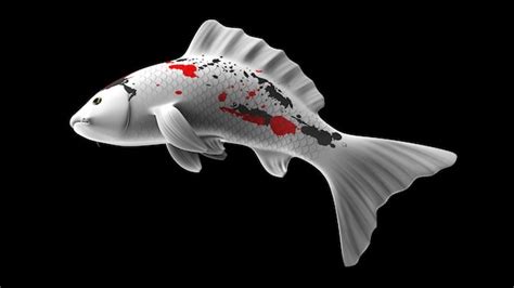 Premium Photo Colorful 3d Rendering Koi Fish With Whiteblack And Red