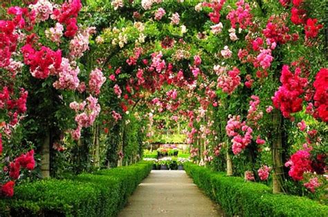 Melihat gambar pemandangan alam yang indah mampu meningkatkan mood dan membangkitkan. Background pemandangan taman bunga 11 » Background Check All