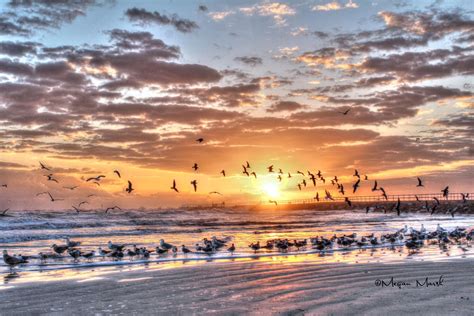 Sunrise On The Beach