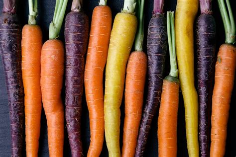 Grow Multi Coloured Carrots The English Garden