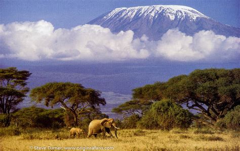 Climb Mount Kilimanjaro “africas Mountain Of Greatness Origins