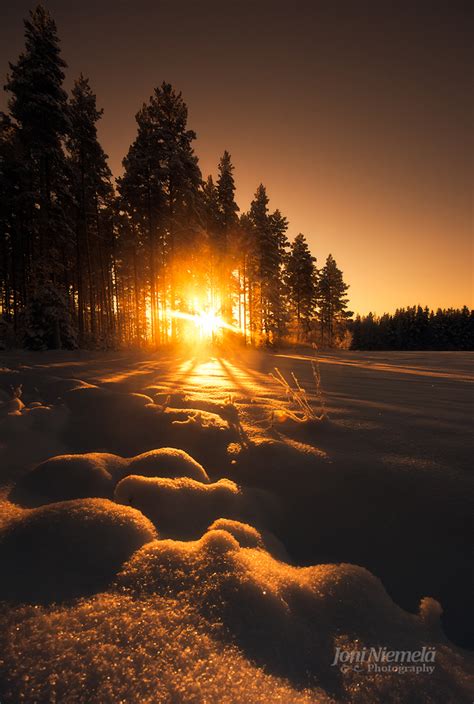 Golden Snow Blog Joni Niemelä Fine Art Photography