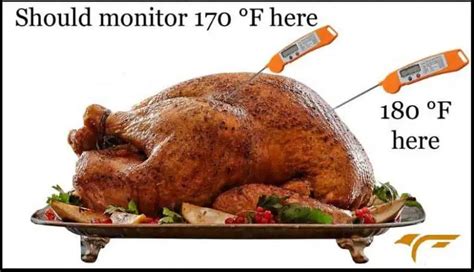 Where To Put Thermometer In Turkey Lifefalcon