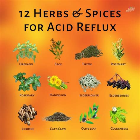 Acid Reflux Naturallyrawsome