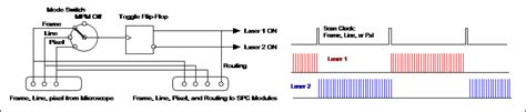 Flim With Excitation Wavelength Multiplexing Becker And Hickl Gmbh