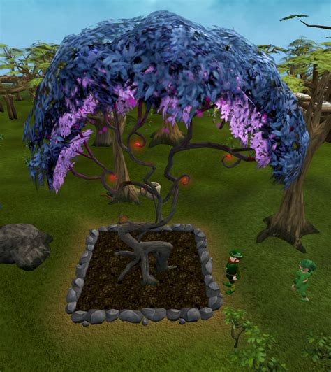 Magic Tree Farming The Runescape Wiki