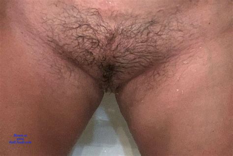 Hairy Pussy February 2019 Voyeur Web