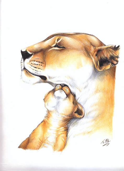 Mom And Cub Of Lions By Loren Farlow On Deviantart Lioness And Cub