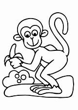 Coloring Monkeys Children Printable Justcolor sketch template