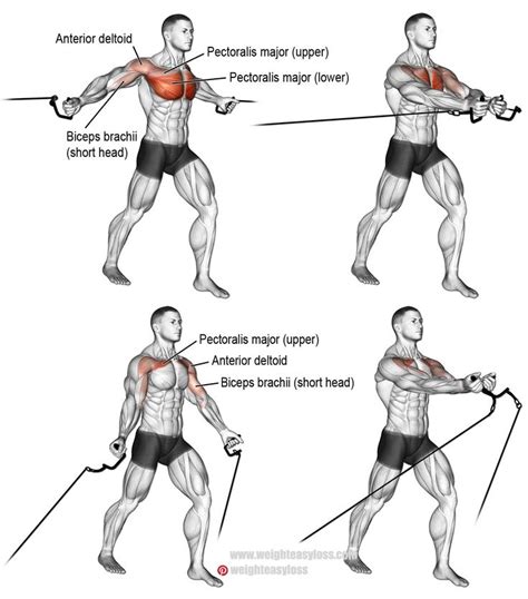 Chest Cable Flyes Cable Workout Chest Workout Chest Fly Workout