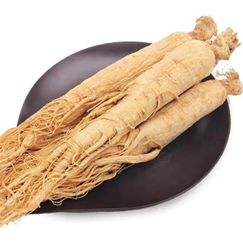 high quality 100 natural chinese herb medicine 6 years old whole ginseng root china panax
