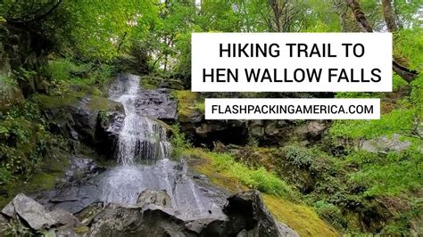 Hike To Hen Wallow Falls On Gabes Mountain Trail In Great Smoky