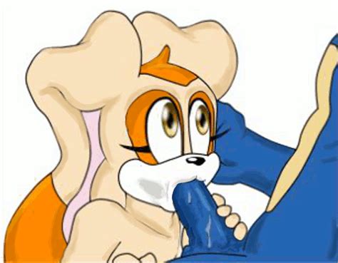 Rule 34 Animated Blue Fur Color Cream The Rabbit Fellatio Female Furry  Hedgehog Male