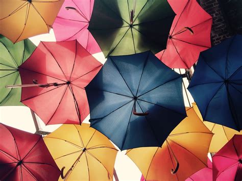 2000 Best Umbrellas Photos · 100 Free Download · Pexels Stock Photos