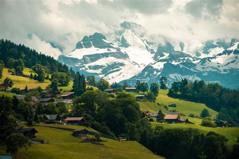 762 Swiss Alps Green Alpine Meadow Hillside Photos Free And Royalty