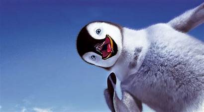 Backgrounds Penguins Desktop 4u Winter Reactions