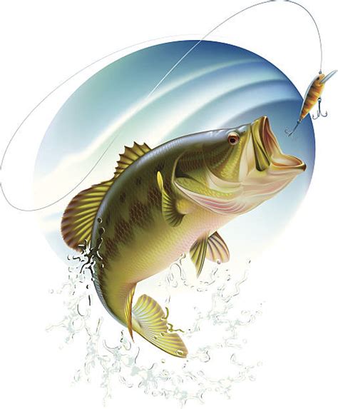 Largemouth Bass Jumping Out Of Water Clipart